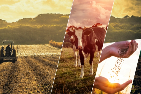 Çiftçiye 1,1 milyar TL'lik destek ödemesi başladı